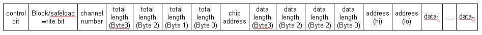 Write Data Format